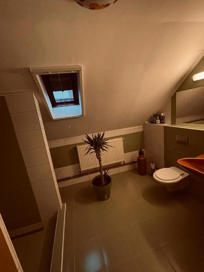 Casa Verde Foeni Kültér fotó